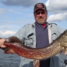 Randy Cook 40 1/2 inch Northern Pike