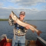 Tom Gloviak Northern