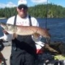 Kevin Reints Northern