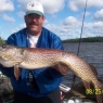 Kevin Reints Northern