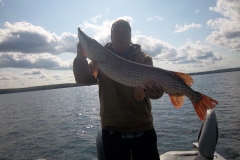 Dave Harms 37.25" Northern Released Sept 19th