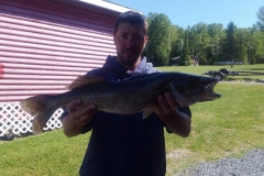 Clint Beavers 24.25" Walleye