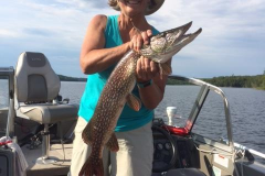 Sue Cabelinski 34" Northern Released August 13th