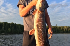 Beau Thompson 37" Northern Released July 24th