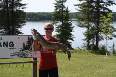 Drew Hanafin 36.5" Northern July 13th Mounted