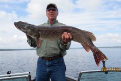 Marty Neihouser 40.25" Northern Released Aug 17th