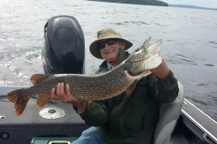 Mike Weinberg 36" Northern Released July 22