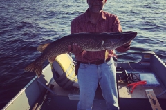 Jeff Jutting 38" Northern Released