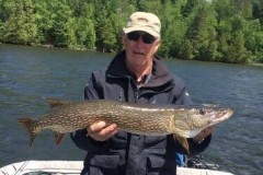 Marty Bramer 36" Northern released June 16th