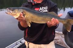 Mike Lammers 26.5" Walleye Released Aug 16th