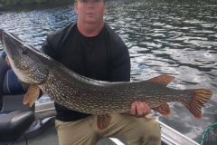 Mike Lammers 42" Northern released June 16th