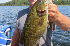 Ron Peterson Smallmouth Bass Released July 30th