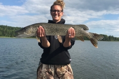 Amber Luhring 36" Northern Released 8/21