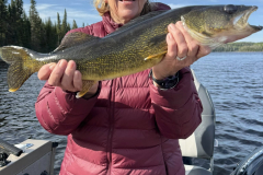Lynn Schaller